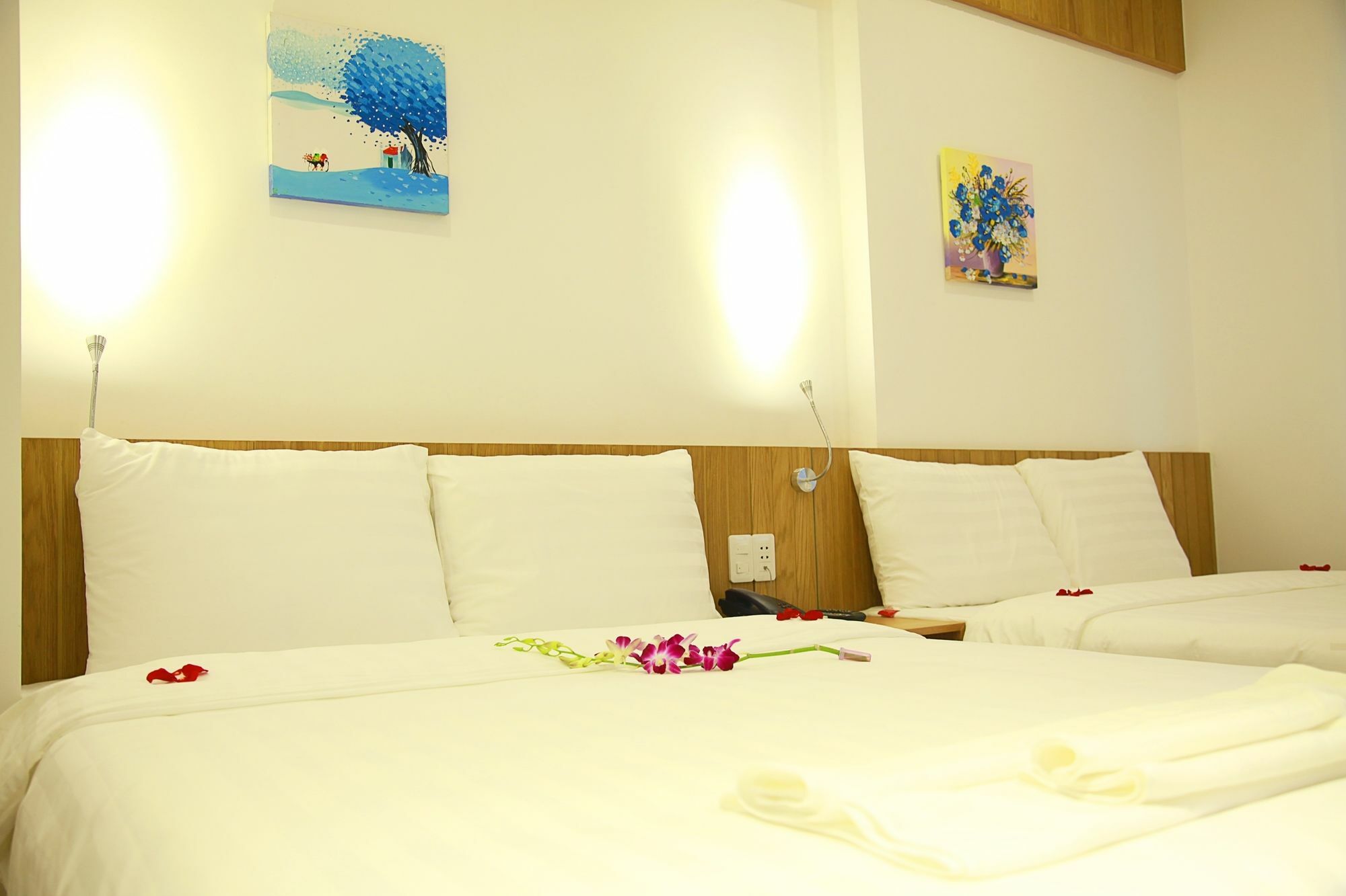 Meraki Hotel Danang Exteriér fotografie